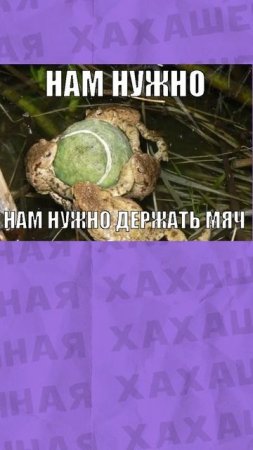 Мемы и мемы #приколы #мемы #мем #лютыеприколы #хахашечная #школа
