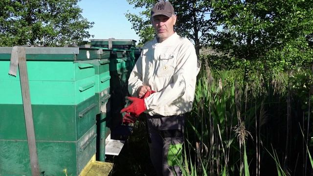 кочевка на дикие медоносы смотреть онлайн