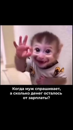 сколько денег осталось