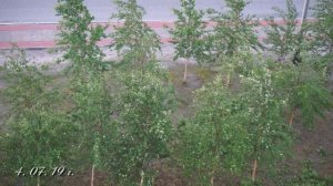 Гроза в Радужном... 4 июля 2019 год. Видео О. Дзиова