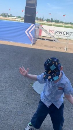 Домашнятина