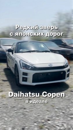 Крышесносный кабриолет Toyota Copen за 1 450 000 руб. 👀