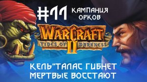Прохождение Wacraft II: Tides of Darkness #11. Кампания орков. КельТалас гибнет - мертвые восстают.