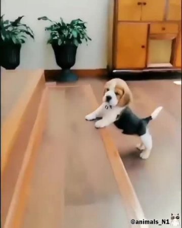 Подпишись 👉 https://vk.com/ykrasheniy_iz_kamny