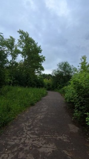 Прогулка. I'll find a way out soon
