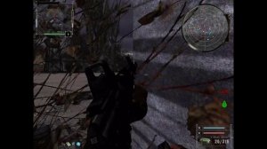 S.T.A.L.K.E.R. Закоулки Правды