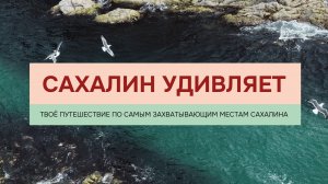 Сахалин. Организованный восторг