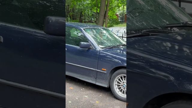 BMW e36 украшение двора?