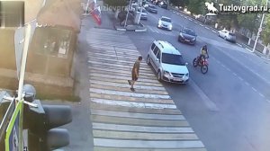 12-летнего велосипедиста сбил автомобиль в Новочеркасске по улице Московская. Ребенок в больнице.