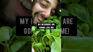 Clone plants naturally | creative explained