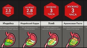Сколько Переваривается ___