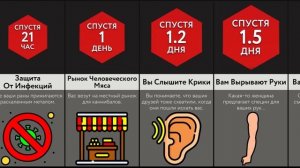 Если Вас Съедят Заживо