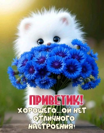 Извините ребята.😔😮💨 Очень жаль .🥺😞