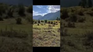 С НАЧАЛО ЗАЗЫВАЮТ ЭТИМ РОЛИКОМ ,И ФИНАЛ КИТАЙСКОЙ МАШИНЫ 😁