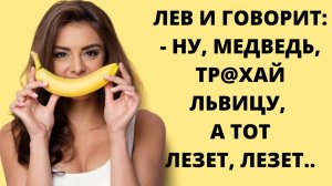Анекдоты про зверей❗ Заяц сук@, хитрый...Лига Смешных Анекдотов