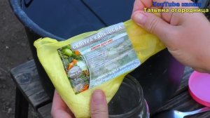 Жёлтые ЗАДОХЛИКИ ПОЗЕЛЕНЕЮТ на глазах от этой подкормки! Внесите под перец, баклажаны,томаты.