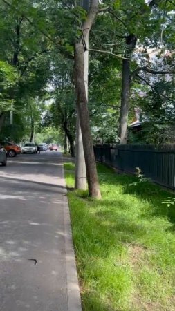Поселок художников, Сокол, Москва
