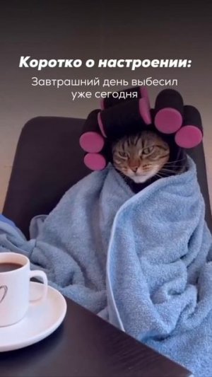 завтрашний день