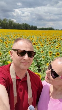 Трасса М - 4, Ростов На Дону, #фотограф53