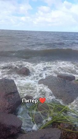 последний самурай