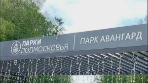 Электросталь парк Авангард