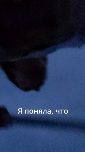 В тот вечер случилось что-то СТРАШНОЕ!