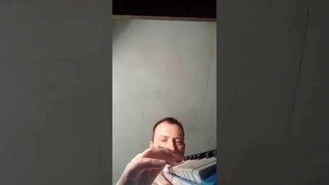 Мелодион: "В горнице моей"