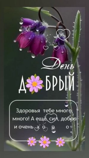 ДОБРЫЙ ДЕНЬ! 😁😁😁 05.07.2025г. Удачных событий и дел, позитивного равновесия и моментов! 😄😄😄