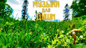 Флейта Свирель и Гусли / Этническая Музыка Души / Мир Под Ногами