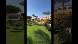 Sunrise Garden Beach resort 5*. Египет(Хургада)