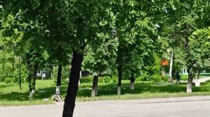 ЭТО КТО ЖЕ ТАК ПОЁТ КРАСИВО?! НОВОКУЗНЕЦК