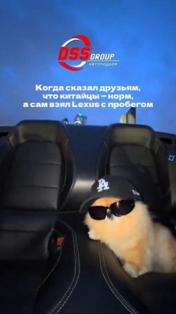 Отмечайте такого же кореша, который мечтает о китайце 😭