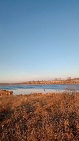 Охота на уток🦆