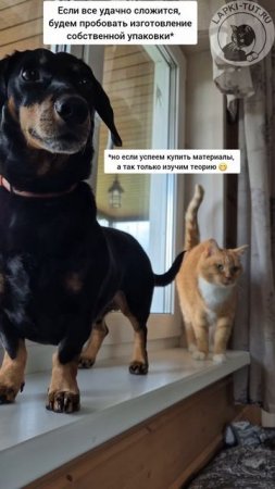 пятница