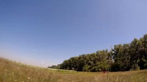 День радости.😊