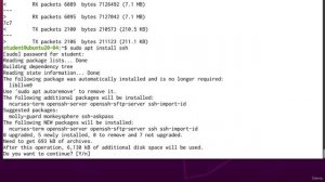 036 Comparing Files (cmp, diff, sha256)