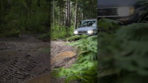 Два внедорожника в своей стихии