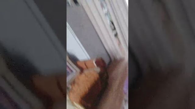 всблсдшсалл