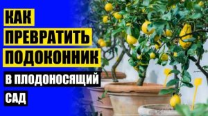 😎 КАК УХАЖИВАТЬ ЗА ЛИМОНАМИ В ДОМАШНИХ УСЛОВИЯХ В ГОРШКЕ ДЛЯ НАЧИНАЮЩИХ