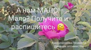 Нам МАЛО! Мало? Получите  и распишитесь