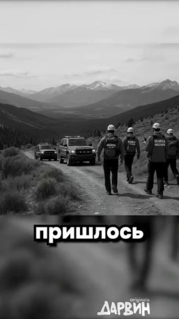 Алло это служба безопасности Сбербанка