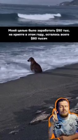 Этот пёс отражает состояние криптанов