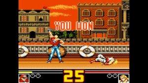 Fatal Fury Special (1993) [Sega Game Gear]