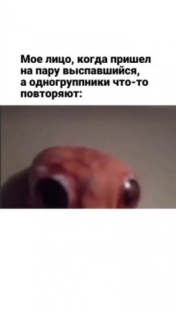 Ну главное, что выспался
