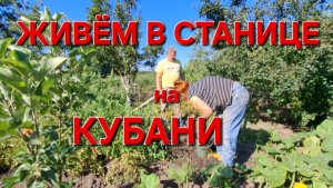 585 🏠 Переехали из города в станицу. Теперь хоть Крыша есть над головой.