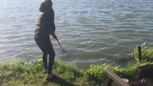 поимка карпа