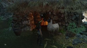 SOTTR 2024-08-20 08-58-50-262