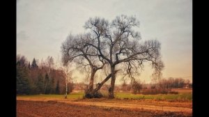 1й вариант. И у природы лицемерия хватает.  Нет сентября…