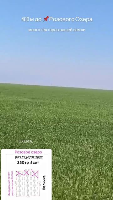 Розовое озеро в Крыму