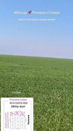 Розовое озеро в Крыму